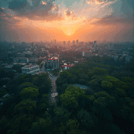 India-Special